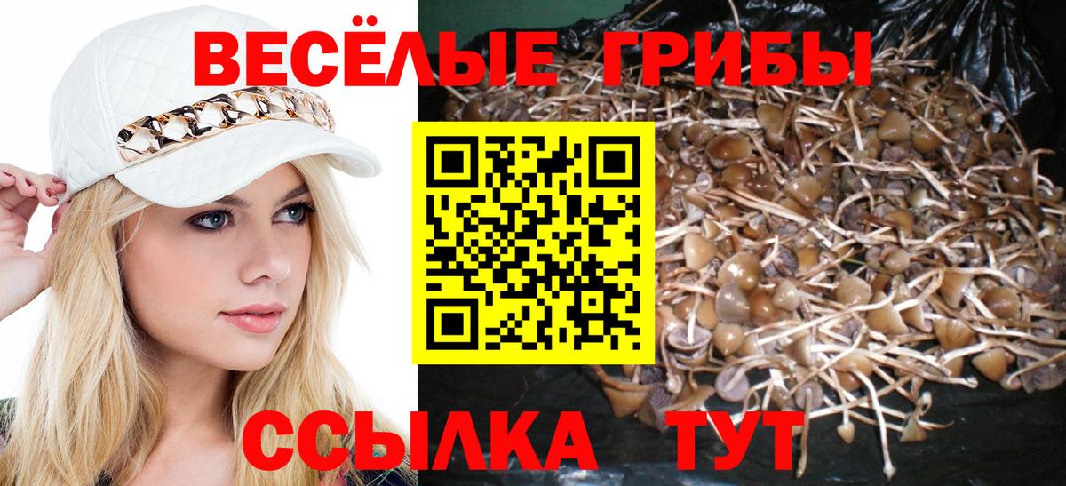 Псилоцибиновые грибы мухоморы Щёлково