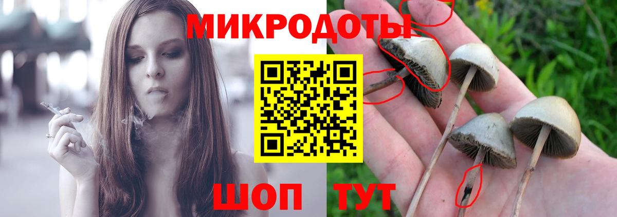 Галлюциногенные грибы мухоморы  Вход с VPN  Щёлково  Галлюциногенные грибы прущие грибы 